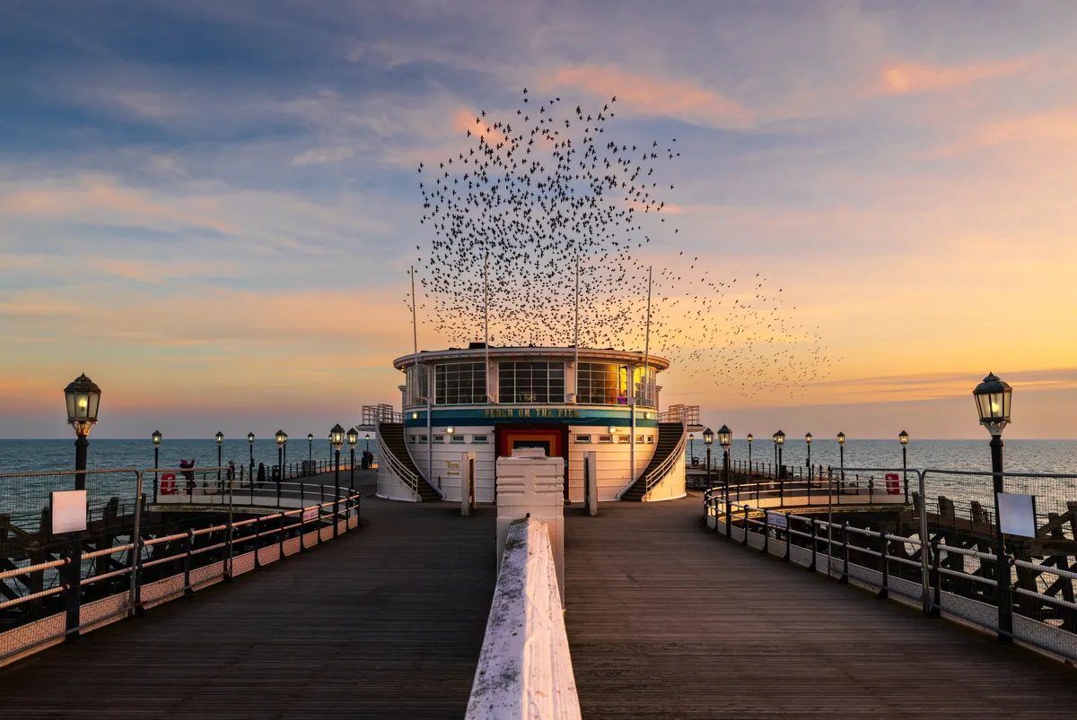 A flock of starlings forms a murmuration above Worthing Pier at sunset, framed symmetrically along the boardwalk with warm evening light.