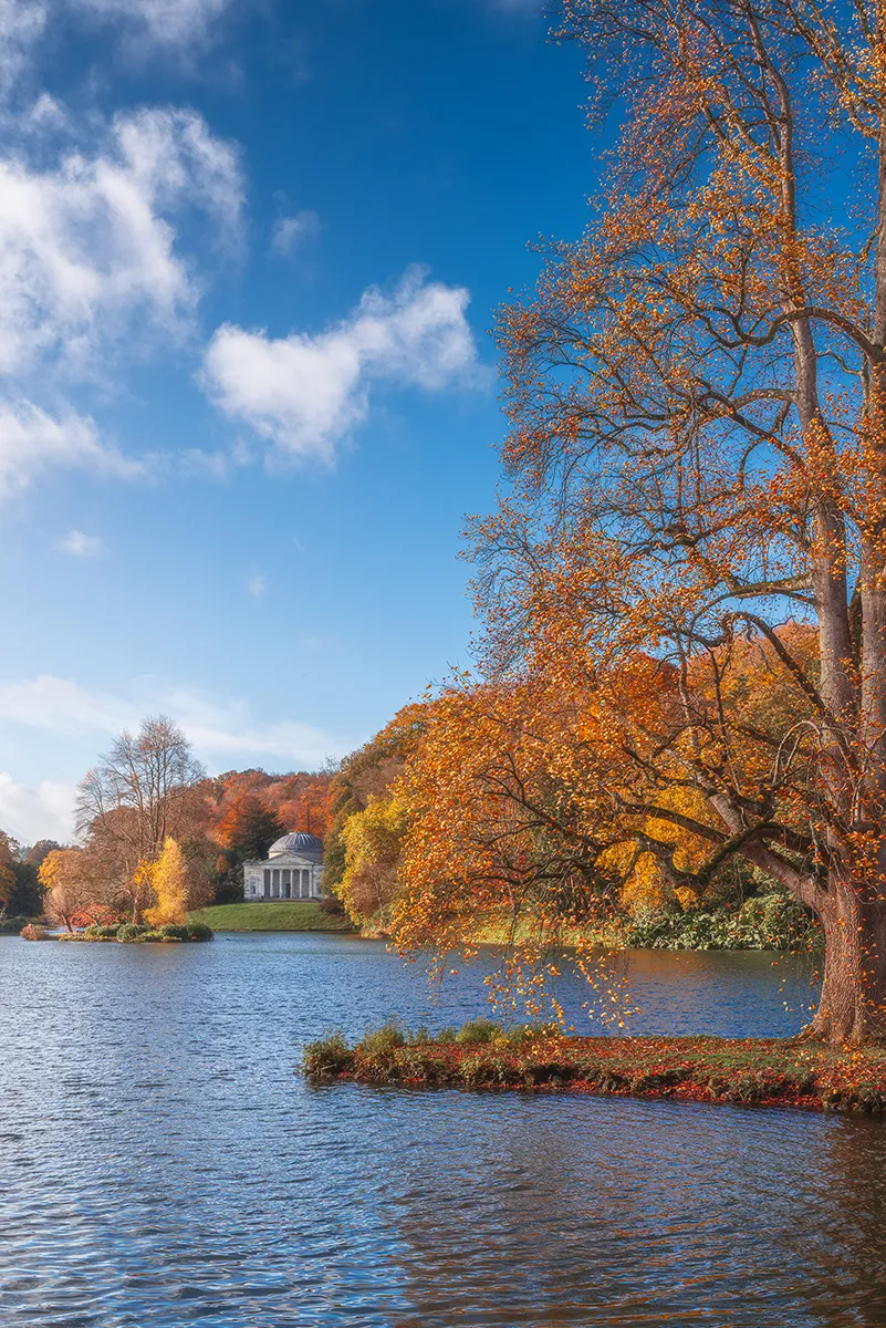 A large autumn tree overhanging a lake at Stourhead, with golden leaves and the Pantheon visible across the water under a clear blue sky.