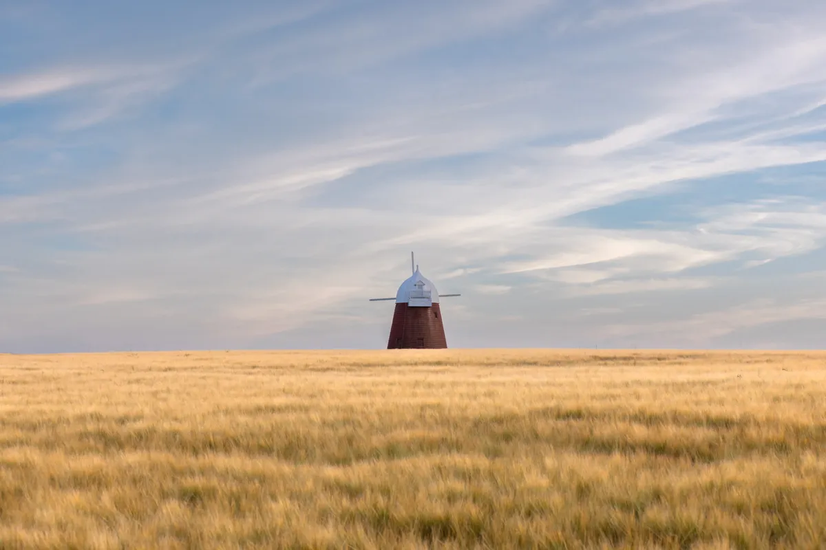 Halnaker windmill standing alone above a golden wheat field under a soft, cloud-filled sky.