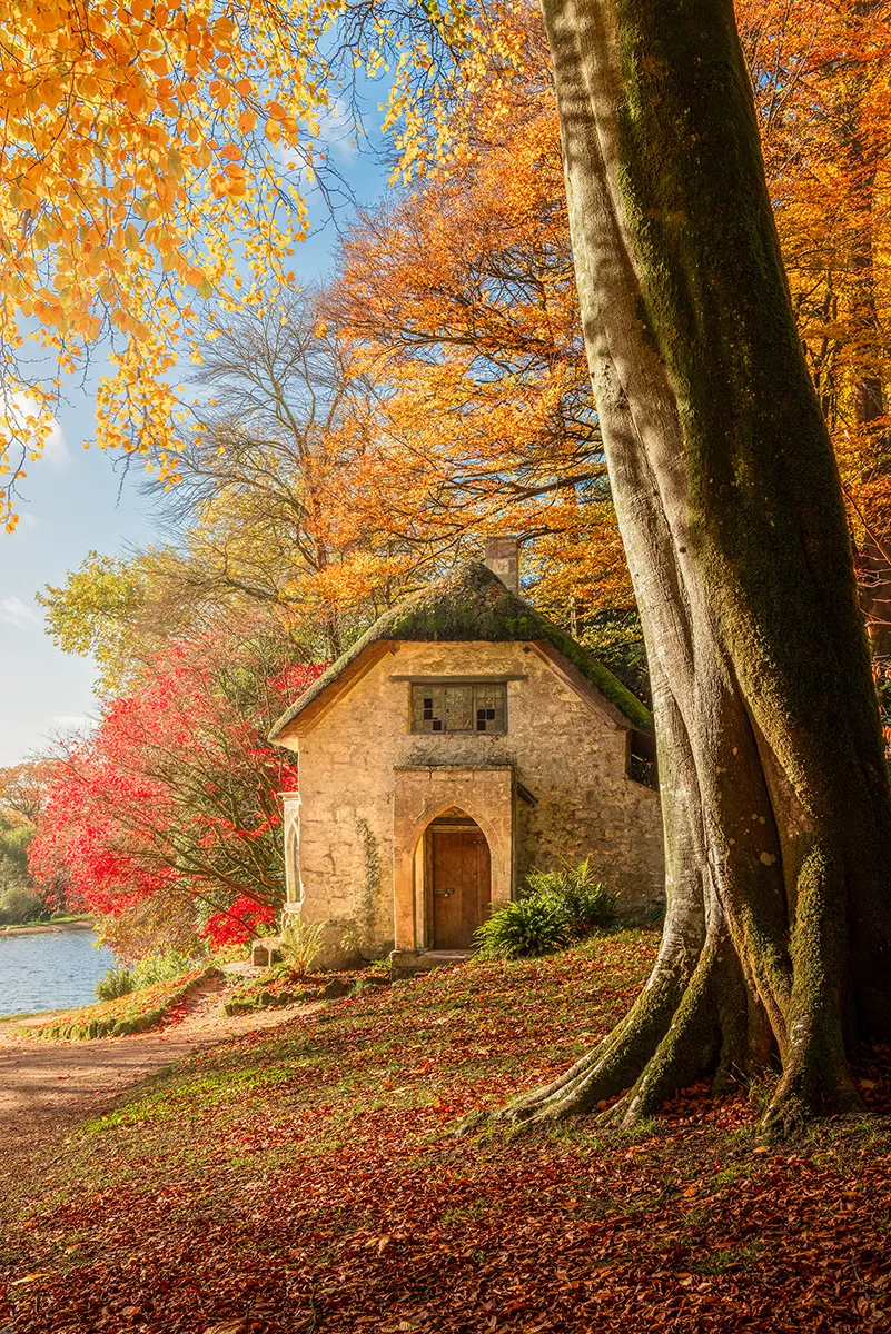 A small stone cottage beneath towering trees at Stourhead, surrounded by vivid autumn colour and fallen leaves, with soft light filtering through the canopy.