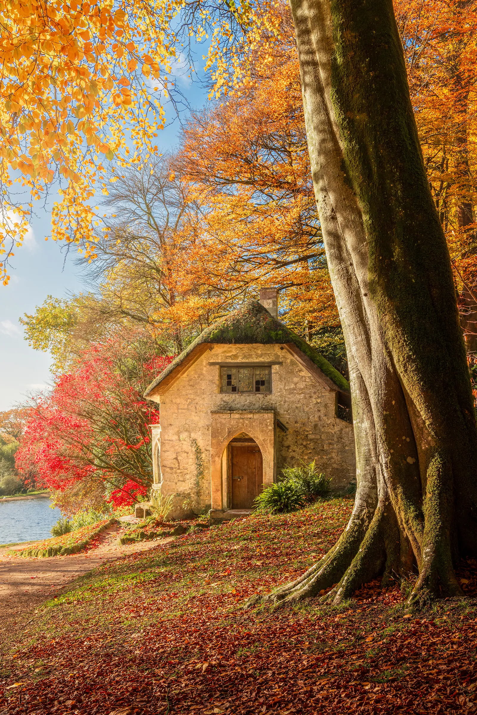 A small stone cottage beneath towering trees at Stourhead, surrounded by vivid autumn colour and fallen leaves, with soft light filtering through the canopy.