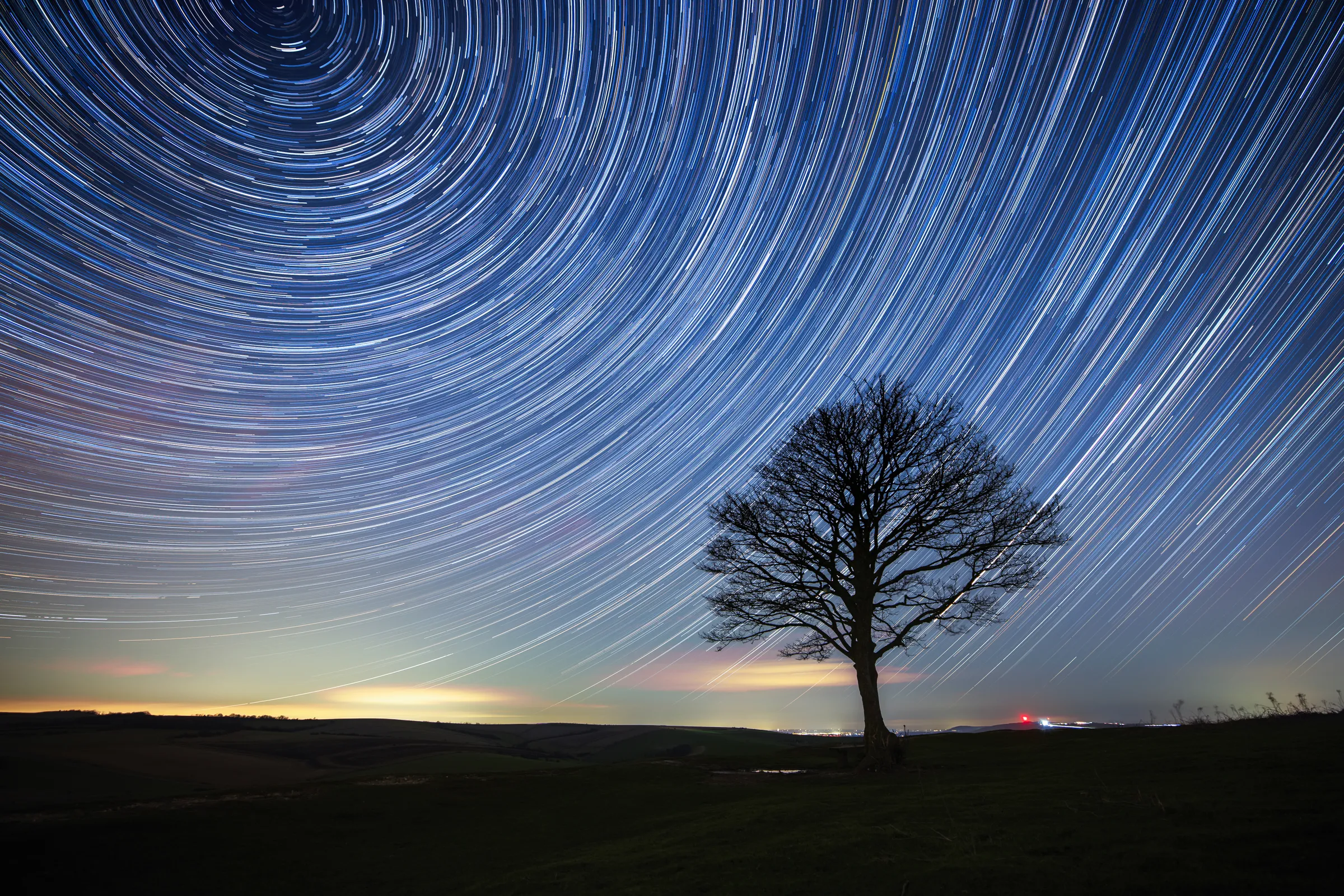 A lone tree at Cissbury Ring beneath sweeping star trails circling the night sky, with light arcs radiating around the celestial pole.