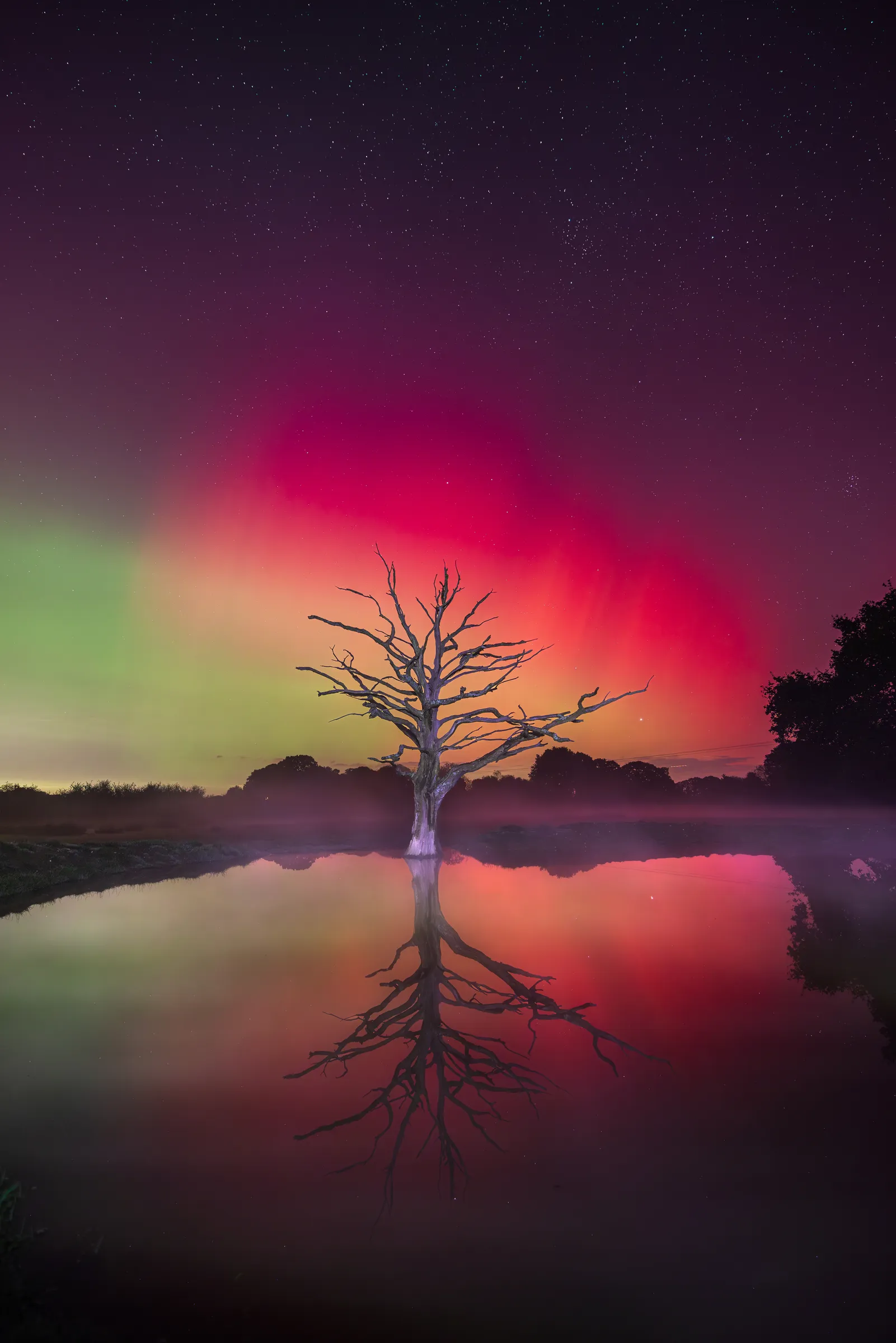 A lone tree reflected in still water beneath a vivid aurora, with intense red, green and orange tones blending across the night sky.