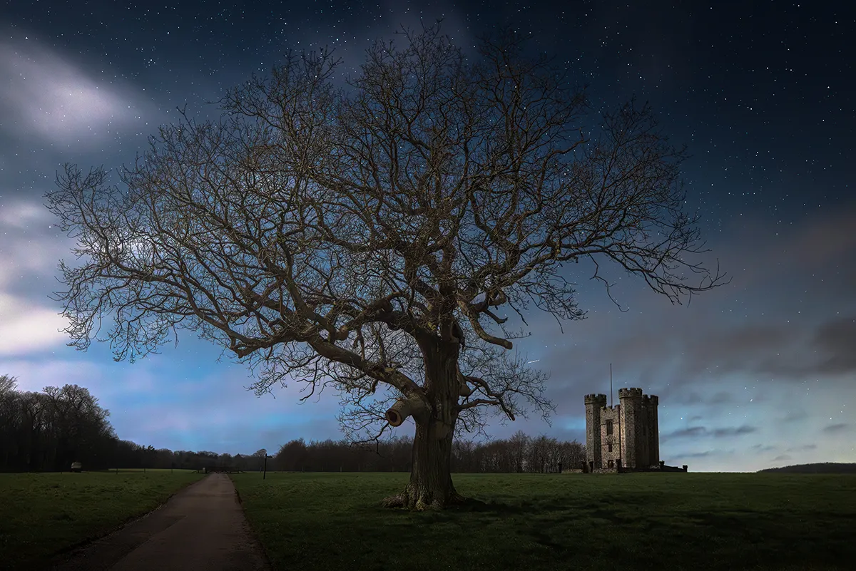 A lone tree stands beneath a star-filled sky with Hiorne Tower in the distance, set against a quiet night in Arundel, West Sussex.