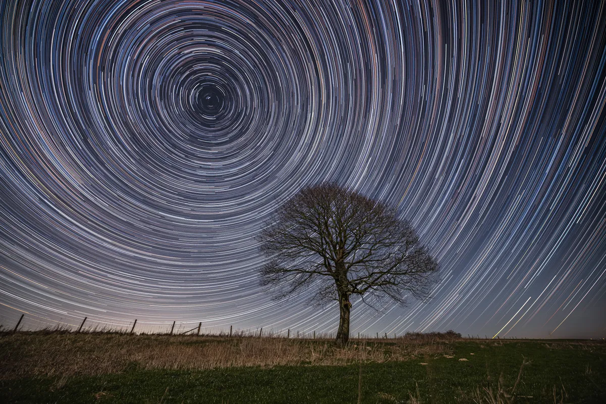A solitary tree beneath dense circular star trails on the South Downs, with concentric arcs radiating across the night sky.