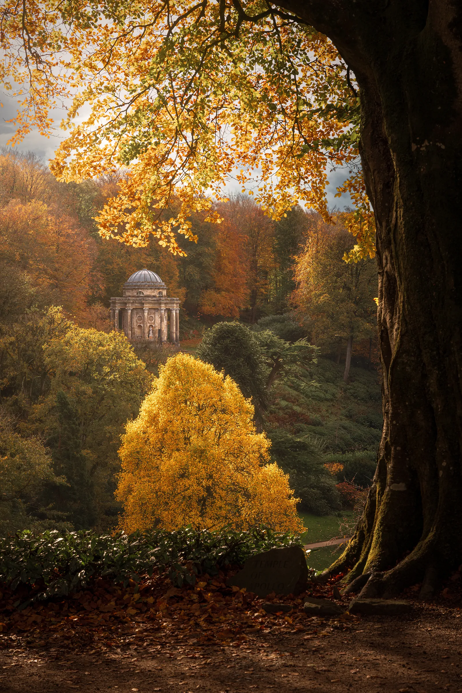 Autumn foliage frames the Temple of Apollo at Stourhead, with golden leaves glowing in soft light and layered woodland surrounding the classical structure.