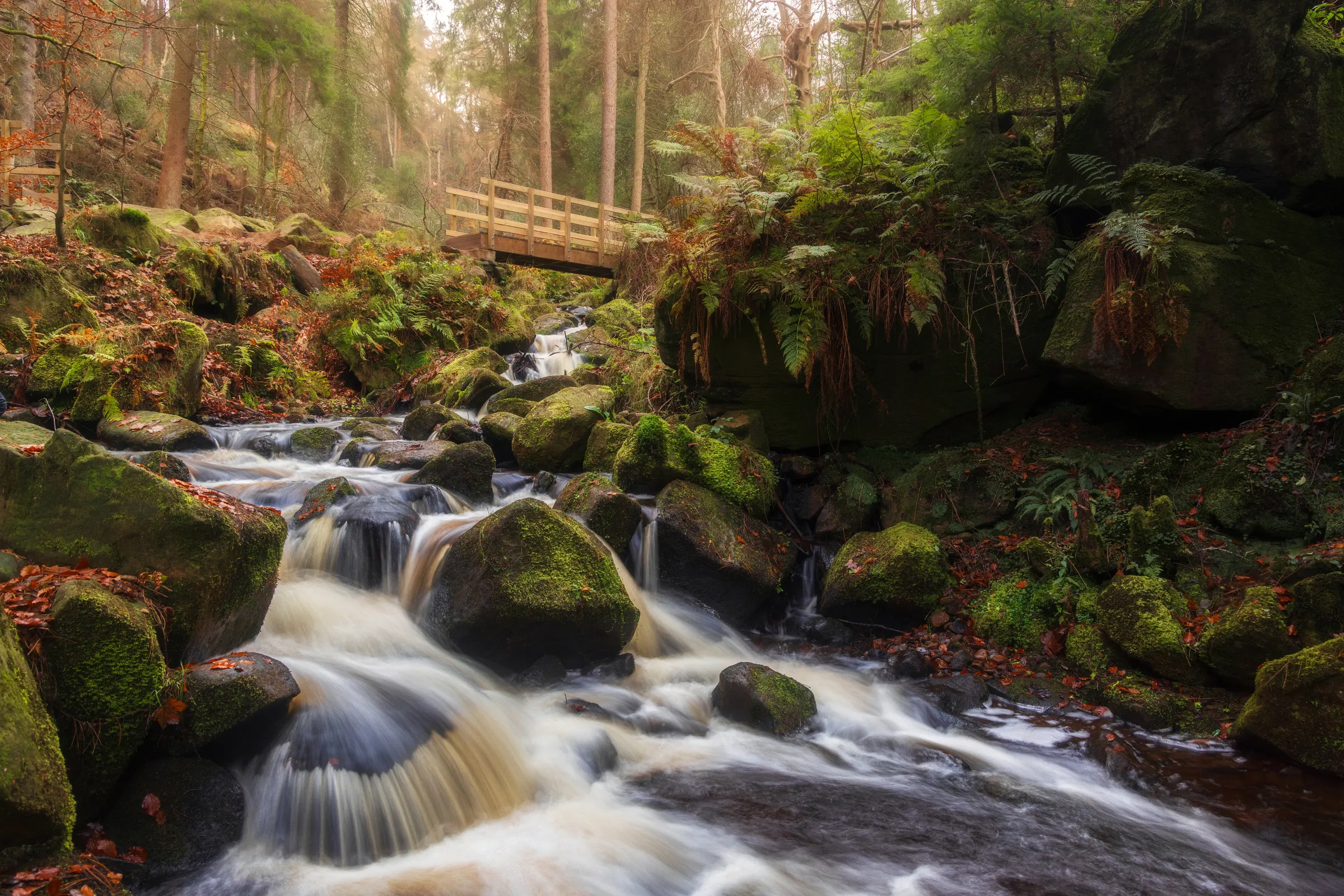 Wyming Brook cascading over moss-covered rocks beneath a wooden footbridge, with autumn tones and soft woodland light in South Yorkshire.