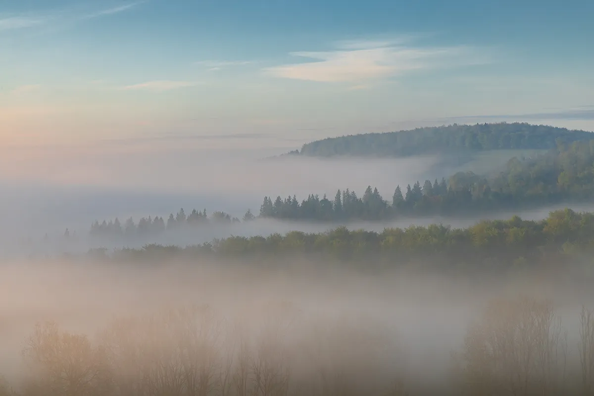 Soft layers of mist covering woodland and hills near Arundel in West Sussex at sunrise