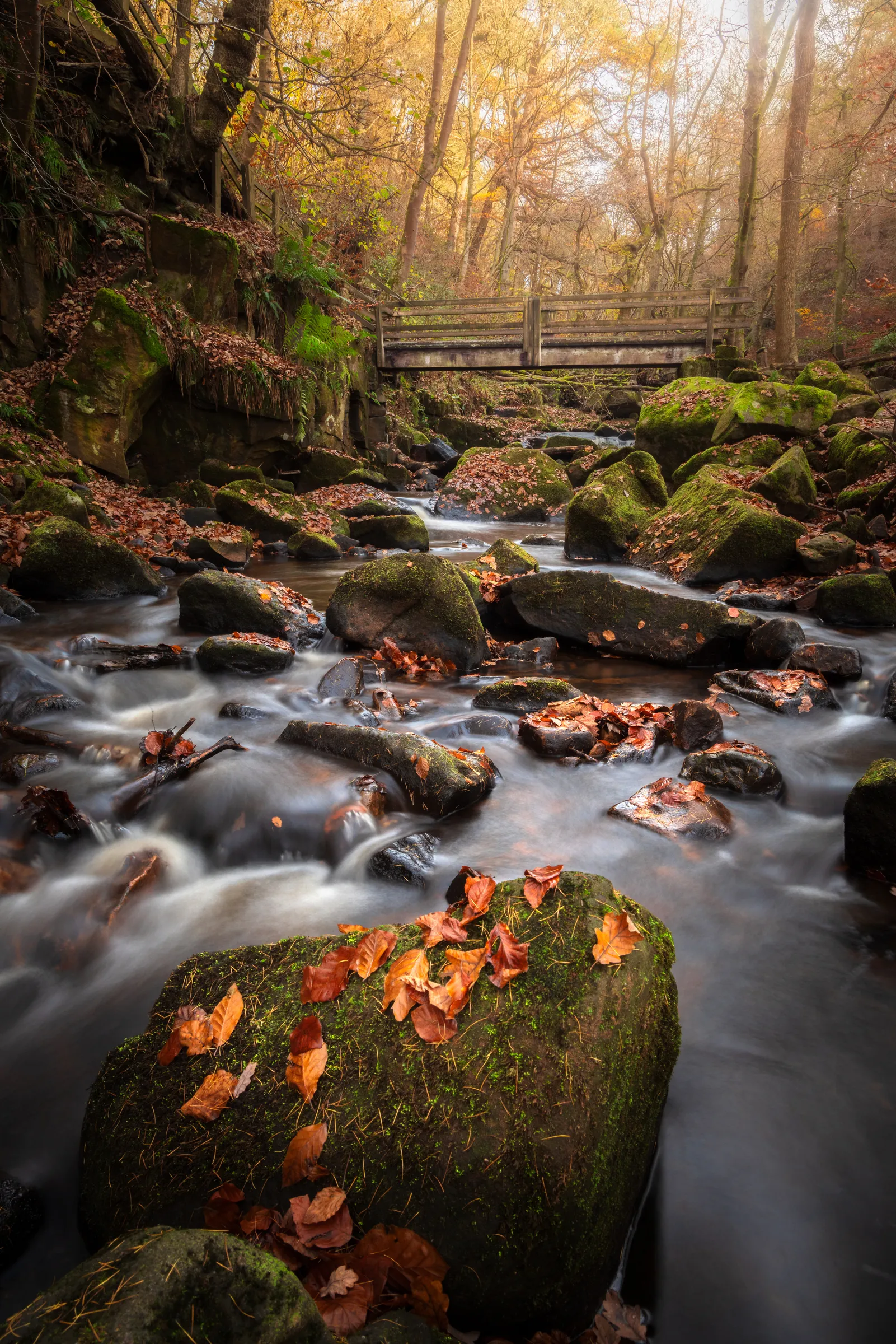 A flowing woodland stream weaving through mossy rocks beneath a wooden bridge in Padley Gorge, Hope Valley