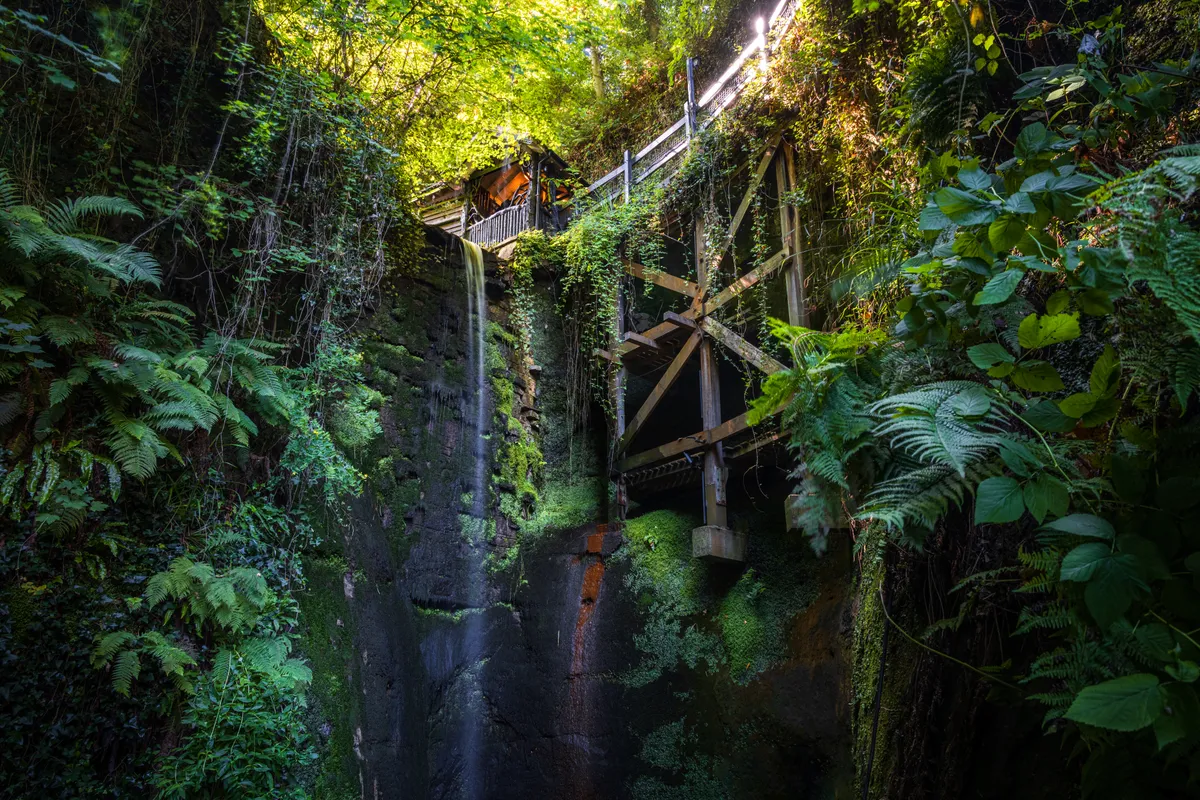 A hidden waterfall cascading beneath a wooden structure within lush greenery at Shanklin Chine, Isle of Wight