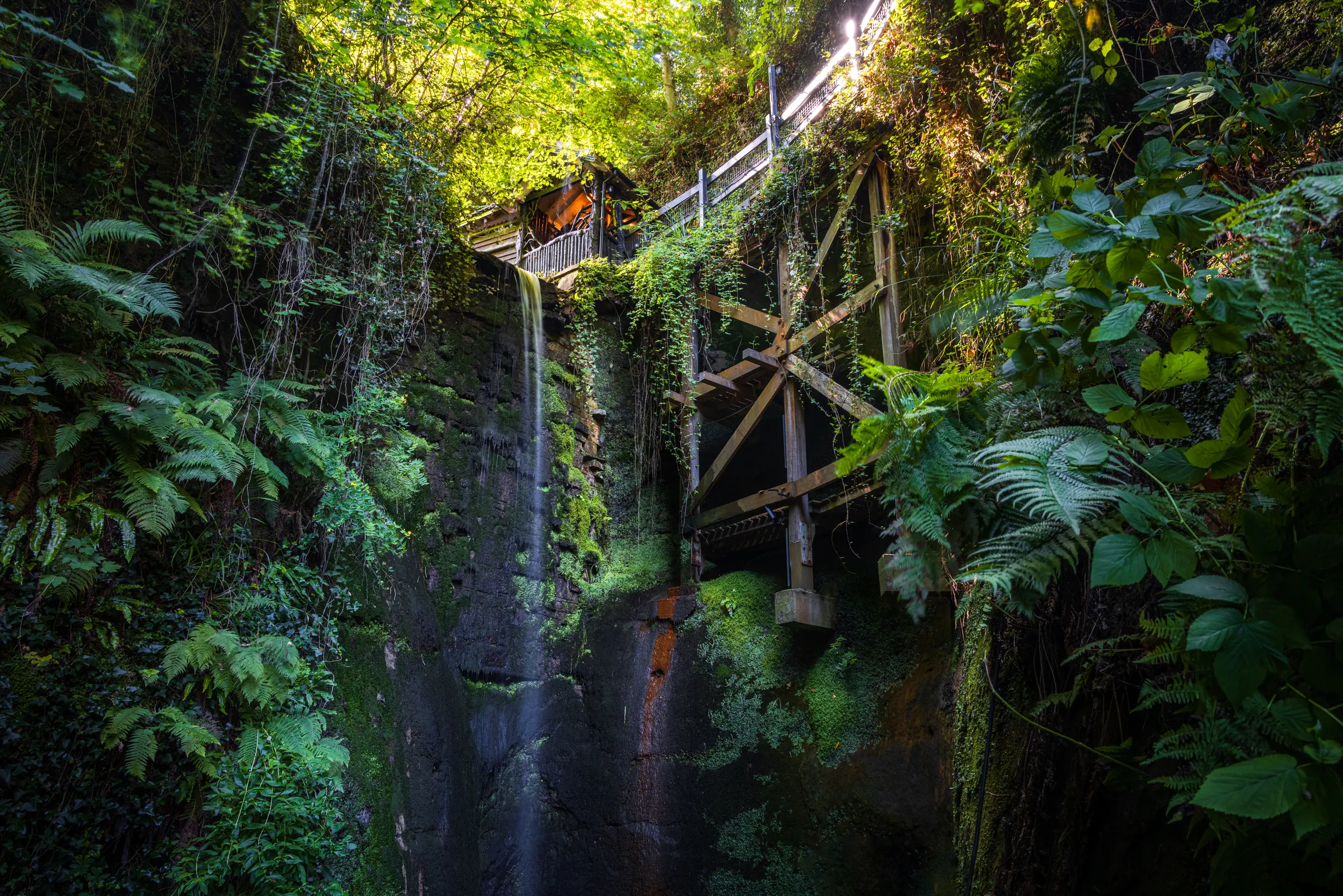 A hidden waterfall cascading beneath a wooden structure within lush greenery at Shanklin Chine, Isle of Wight