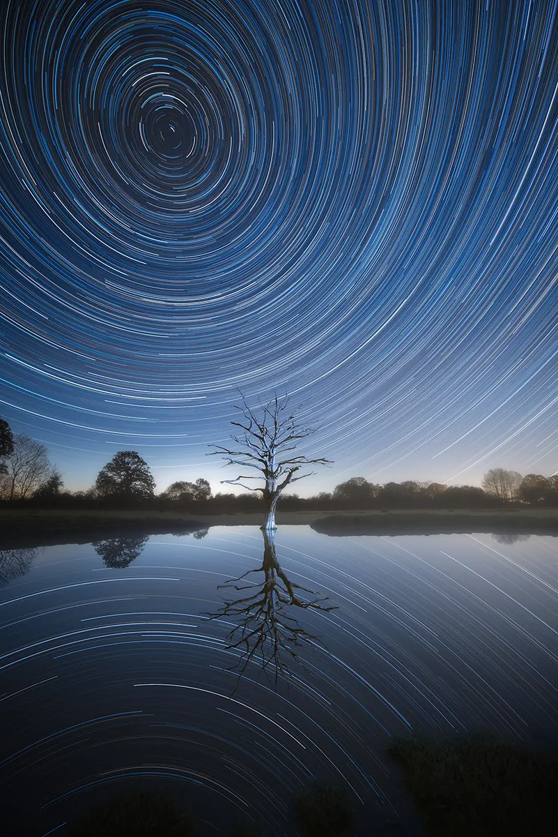 Star trails circling above a lone tree reflected in still water near Henfield in West Sussex