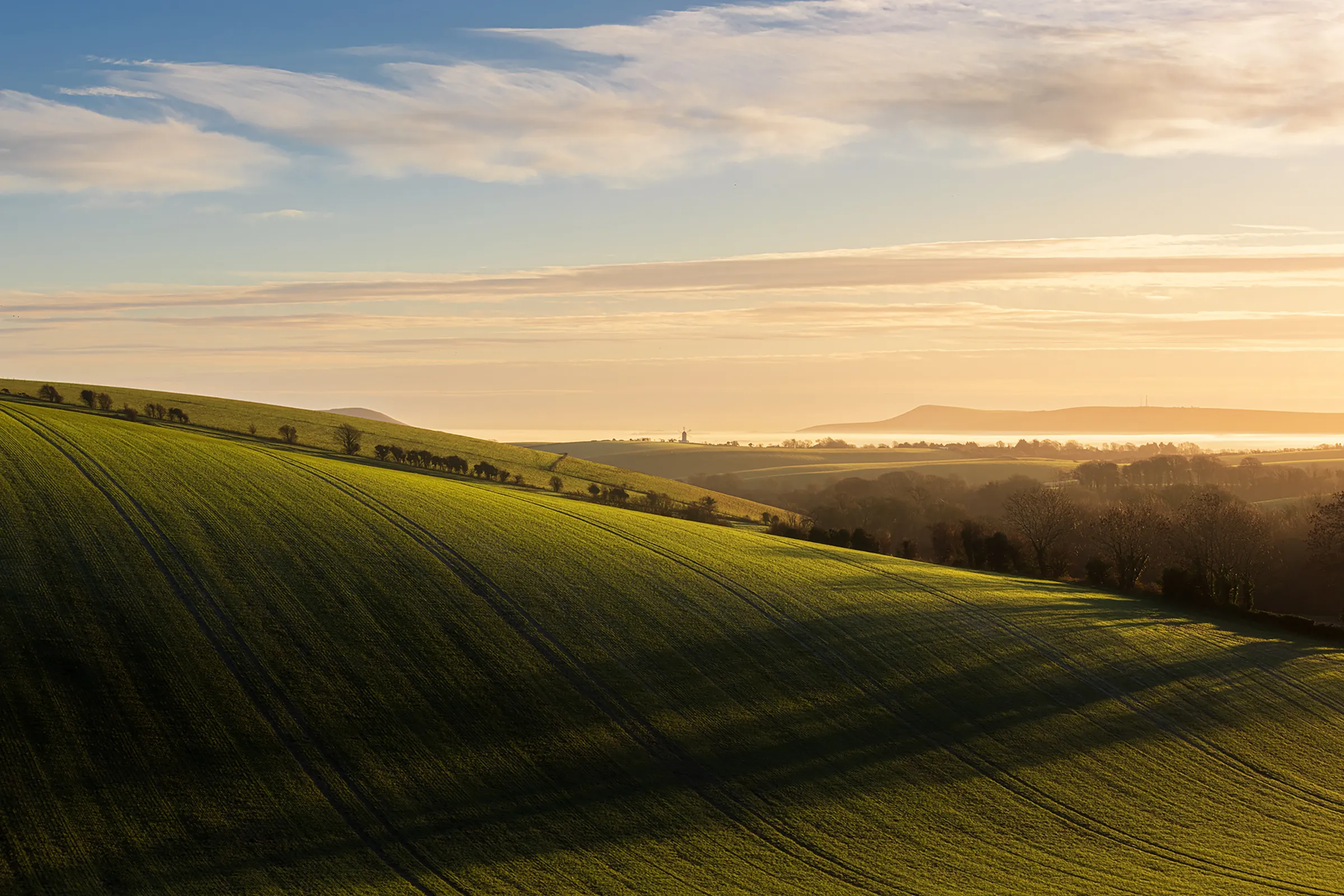 Rolling green fields with long shadows stretching across the land at sunrise near Lewes, East Sussex