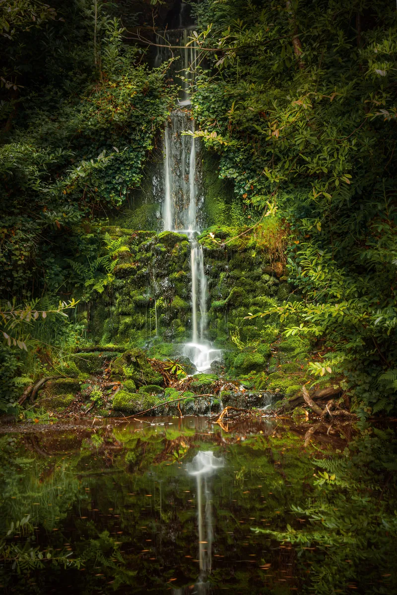 A moss-covered waterfall cascading into a still reflective pool surrounded by dense greenery at Tillingbourne, Surrey