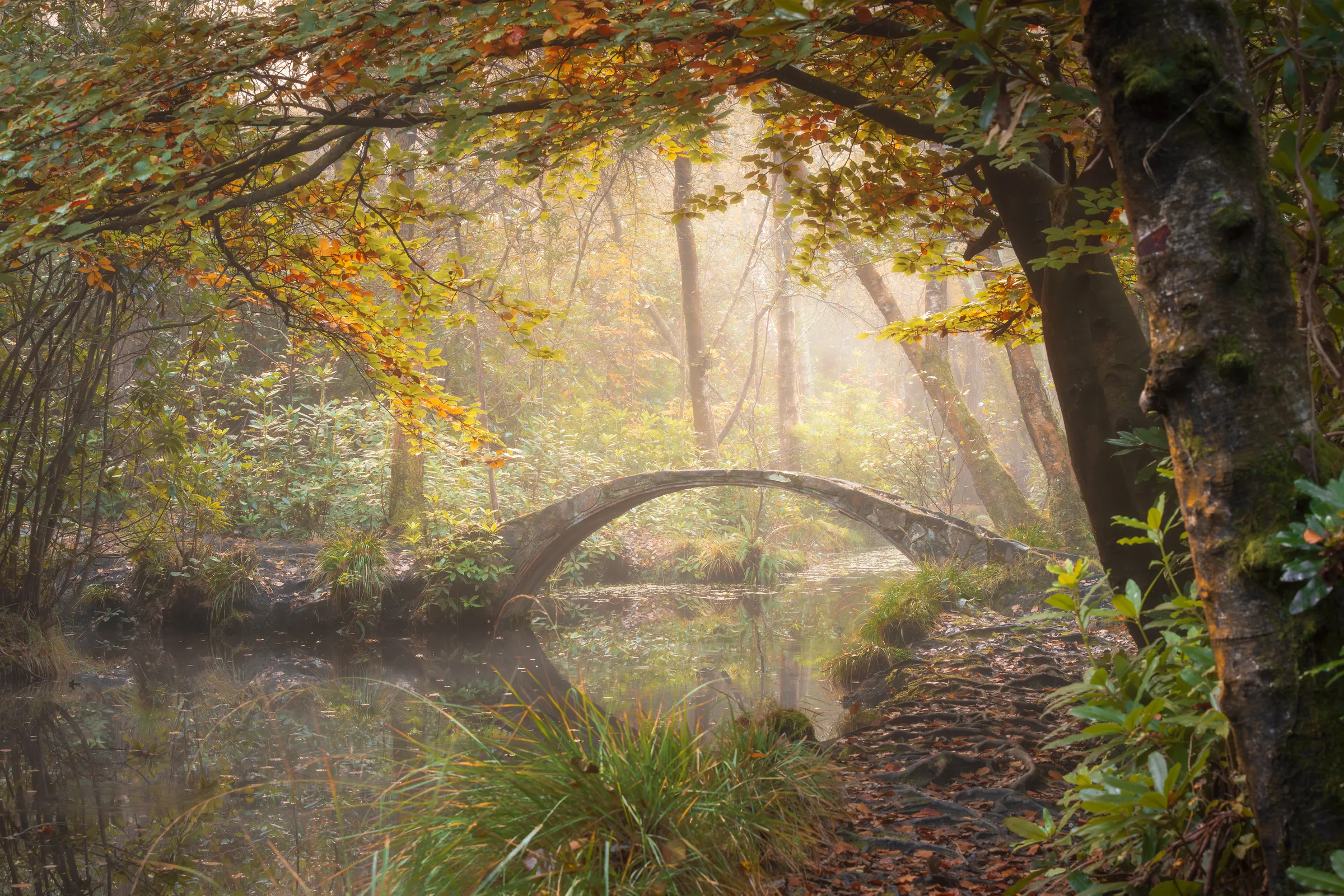 A small stone bridge in misty woodland at Storrington surrounded by autumn colour and reflected in still water