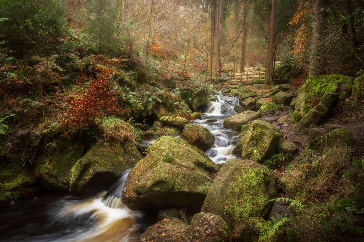 A landscape photograph from the Reverence collection