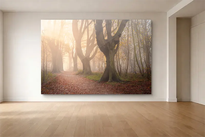 Masterprint finished under acrylic, shown in situ